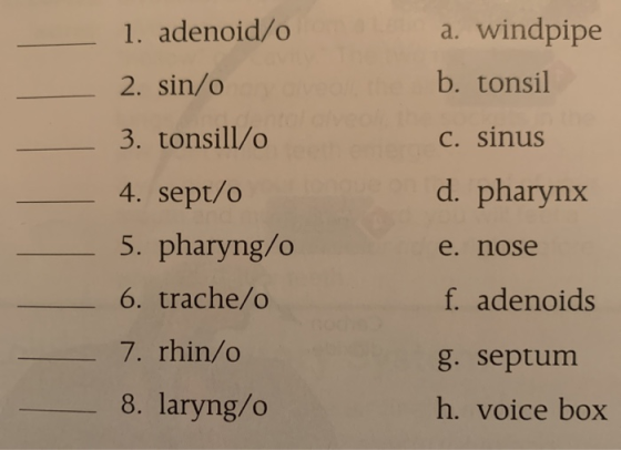 1. adenoid/o 2. sin/o 3. tonsill/o 4. sept/o 5. pharyng/o 6. trache/o 7. rhin/o 8. laryng/o a. windpipe b. tonsil c. sinus d.