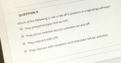 QUESTION Which of the following is not a role of proteins in a signaling pathway? They phosphorylate GDP TO GTP. They act as