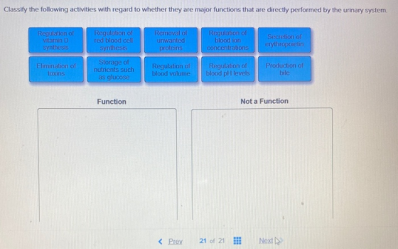 Classify the following activities with regard to whether they are major functions that are directly performed by the urinary