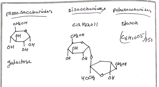 monosaccharides pisaccharides polysaccharides са он C13 Надо 1) starch Ден сон «нообро он тон Оион он galactose ви е сон Hook