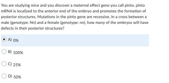 You are studying mice and you discover a maternal effect gene you call pinto. pinto mRNA is localized to the anterior end of