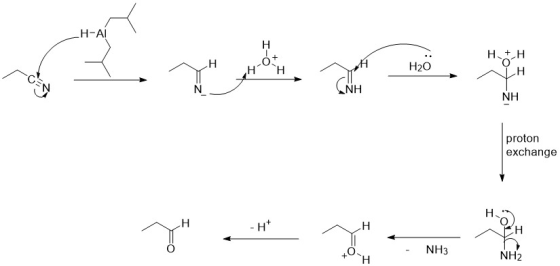 Н-Al H H н H20 H N NH NH proton exchange н - н* н н NH3 NH2 H