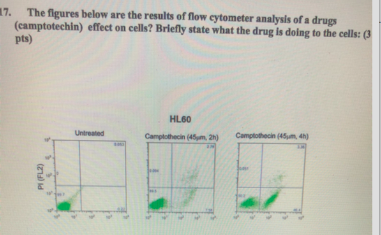 17. The figures below are the results of flow cytometer analysis of a drugs (camptotechin) effect on cells? Briefly state wha