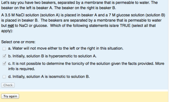 Let's say you have two beakers, separated by a mem