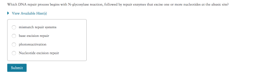 Which DNA repair process begins with N-glycosylase reaction, followed by repair enzymes that excise one or more nucleotides a