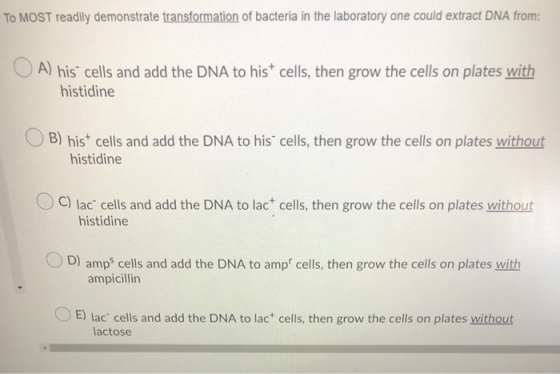 To MOST readily demonstrate transformation of bacteria in the laboratory one could extract DNA from: A) his cells and add the