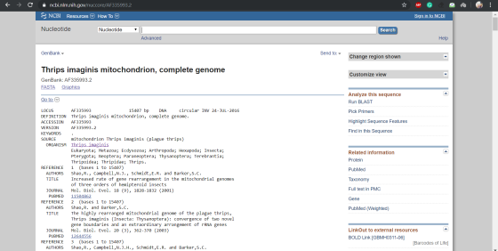 c n cbi.nlm.nih.gov/nuccore/AF335993.2, ☆ ABPG 3 NCBI Resources How To Sign in to NCBI Nucleotide Nucleotide Search Advanced