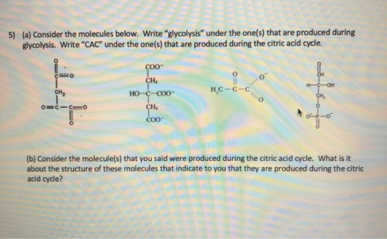 5) (a) Consider the molecules below. Write glycolysis under the one(s) that are produced during glycolysis. Write CAC und