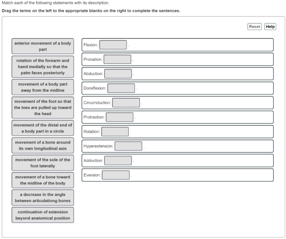 Match each of the following statements with its description. Drag the terms on the left to the appropriate blanks on the righ