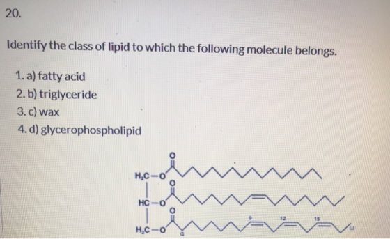 20. Identify the class of lipid to which the following molecule belongs. 1. a) fatty acid 2.b) triglyceride 3. c) wax 4.d) gl