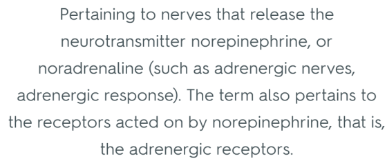 Pertaining to nerves that release the neurotransmitter norepinephrine, or noradrenaline (such as adrenergic nerves, adrenergic response). The term also pertains to the receptors acted on by norepinephrine, that is, the adrenergic receptors.