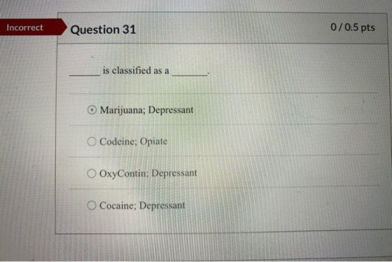 Incorrect Question 31 0/0.5 pts is classified as a O Marijuana; Depressant Codeine; Opiate O OxyContin, Depressant Cocaine; D