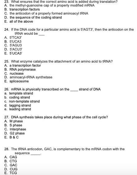 23. What ensures that the correct amino acid is added during translation? A. the methyl-guanosine cap of a properly modified
