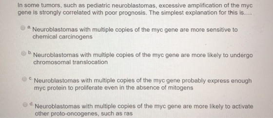 In some tumors, such as pediatric neuroblastomas, excessive amplification of the myc gene is strongly correlated with poor prognosis. The simplest explanation for this is.... a Neuroblastomas with multiple copies of the myc gene are more sensitive to chemical carcinogens . Neuroblastomas with multiple copies of the myc gene are more likely to undergo Neuroblastomas with multiple copies of the myc gene probably express enough Od Neuroblastomas with multiple copies of the myc gene are more likely to activate chromosomal translocation myc protein to proliferate even in the absence of mitogens other proto-oncogenes, such as ras