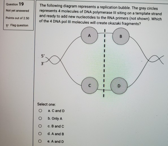 Question 19 Not yet answered The following diagram represents a replication bubble. The grey circles represents 4 molecules o