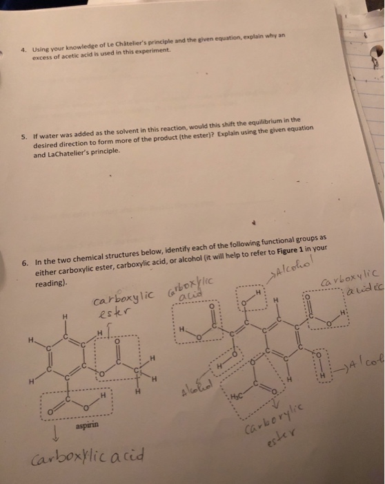 4. Using your knowledge of Le Chateliers principle and the given equation, explain why an excess of acetic acid is used in t