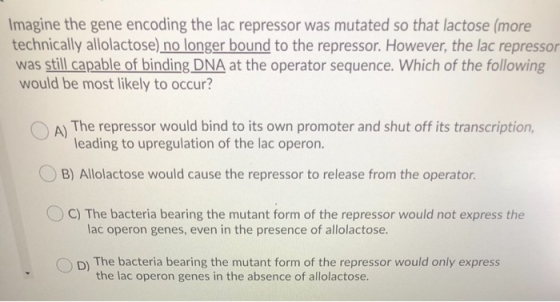 Imagine the gene encoding the lac repressor was mutated so that lactose (more technically allolactose) no longer bound to the