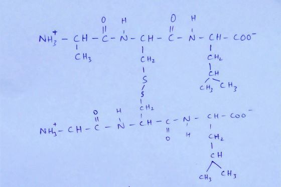 о но не NET - СН – – – СН – С – – CH – C00- I CH, CH, CH, CH се, сна он CH₂ сH — Соо N, - сH — с-м — сH — с 2-т CH, сH сH, CH
