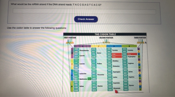 What would be the mRNA strand if the DNA strand reads: TACCGAGTCACG? Check Answer Use the codon table to answer the following