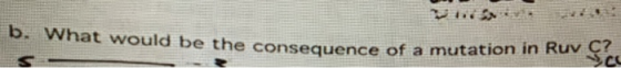 b. What would be the consequence of the consequence of a mutation in Ruv C? S.