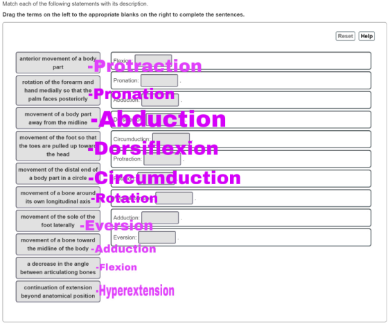 Match each of the following statements with its description. Drag the terms on the left to the appropriate blanks on the righ