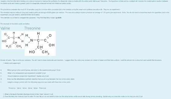 Imagine a biochemistry lab is testing out a new procedure to improve the synthesis of a dipeptide molecule made with the amin