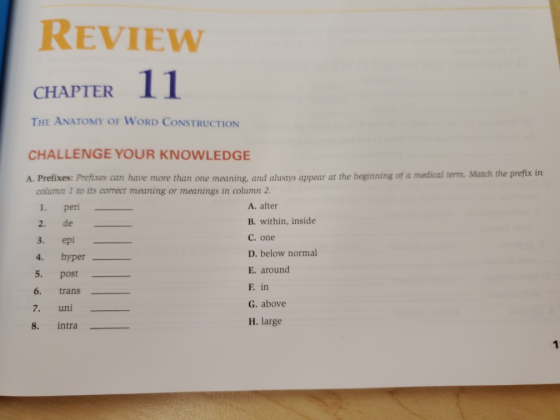 REVIEW CHAPTER 11 THE ANATOMY OF WORD CONSTRUCTION CHALLENGE YOUR KNOWLEDGE A. Prefixes: Prefixes can have more than one mean