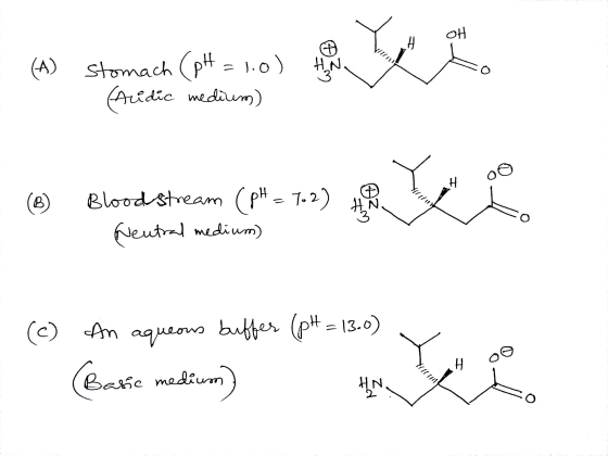 (e) Blood Stream (r. 7.2) eut midium) (c) An