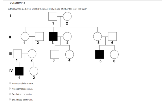 QUESTION 11 In this human pedigree, what is the most likely mode of inheritance of the trait? Autosomal dominant. Autosomal r