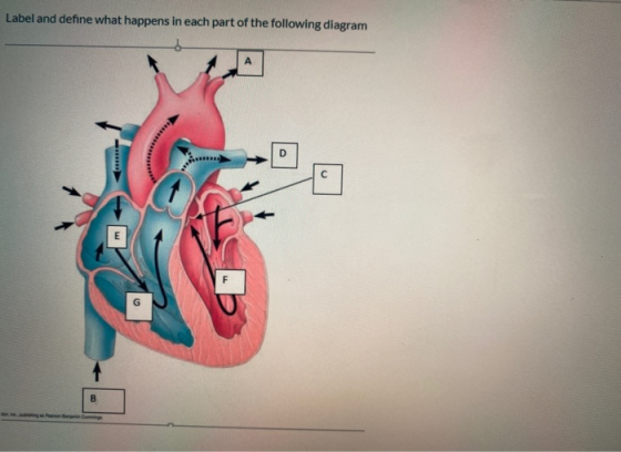 Label and define what happens in each part of the following diagram