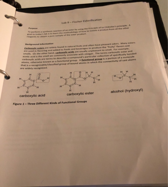 Lab 9 - Fischer Esterification Purpose To perform a synthesis reaction of an enter by using the principle of Le Chateliers p