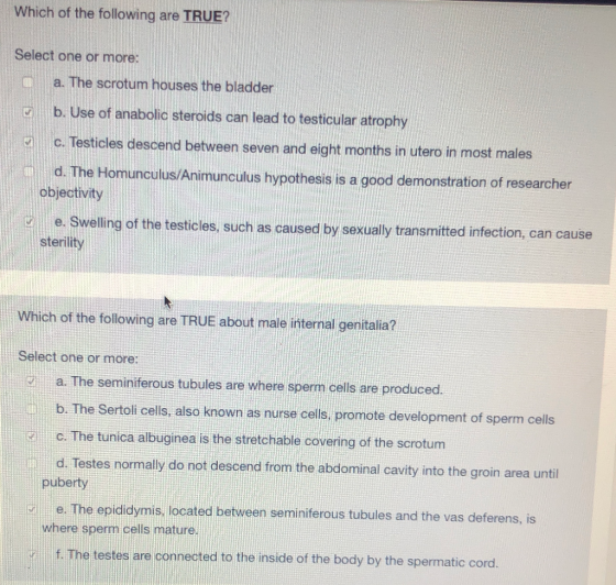 Which of the following are TRUE? Select one or more: a. The scrotum houses the bladder b. Use of anabolic steroids can lead t