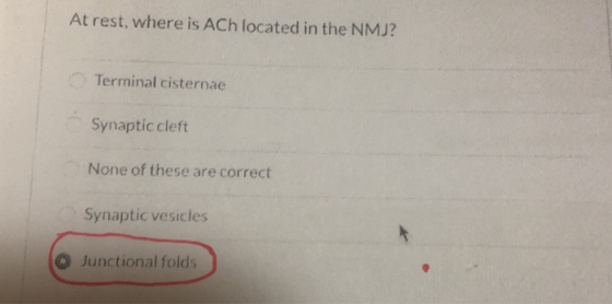 At rest, where is ACh located in the NMJ? Terminal cisternae Synaptic cleft None of these are correct Synaptic vesicles © Jun