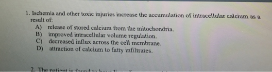 1. Ischemia and other toxic injuries increase the accumulation of intracellular calcium as a result of: A) B) C) D) release of stored calcium from the mitochondria. improved intracellular volume regulation. decreased influx across the cell membrane. attraction of calcium to fatty infiltrates.