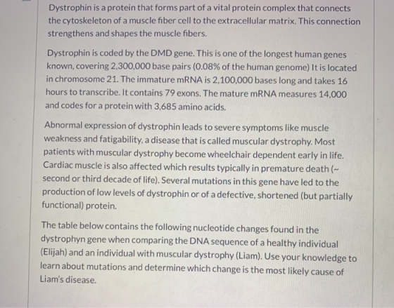 Dystrophin is a protein that forms part of a vital protein complex that connects the cytoskeleton of a muscle fiber cell to t
