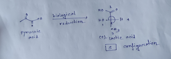 2 HO biological H 4 reduction Pyruvic acid (+)- Lactic acid (3] configuration
