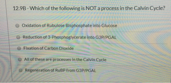 12.9B - Which of the following is NOT a process in the Calvin Cycle? Oxidation of Rubulose Bisphosphate into Glucose Reductio