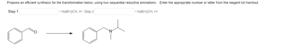 Propose an efficient synthesis for the transformation below, using two sequential reductive aminations. Enter the appropriate