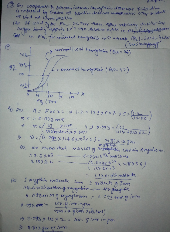 (3 al coopercebinity bennees herman hemoglobin deereases if histidine u replaced by lealline as histidine doRinot ateb allow