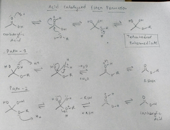 Acid catalegsed Ester formation HO OH OH -OH +0 - carboxylic HO OH Xook Tetrahedral Intermediate Acid Path - 1 SH HO OH E I t