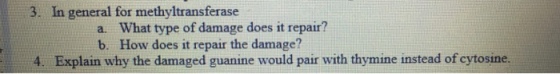 3. In general for methyltransferase a. b. What type of damage does it repair? How does it repair the damage? lanhy the damaged guanine woulr hymine nstead of eyriosine