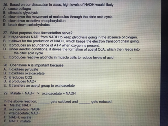 26. Based on our discussion in class, high levels of NADH would likely A. cause pellagra B. stimulate glycolysis C. slow down