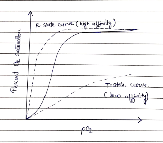 | R-state curve (high affinity) Saturation 02 Percent To state curve (low affinity poz