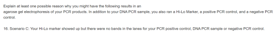 Explain at least one possible reason why you might have the following results in an agarose gel electrophoresis of your PCR p