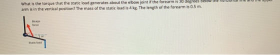 What is the torque that the static load generates about the elbow joint if the forearm is 30 degrees below the Hur arm is in