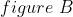 figure B