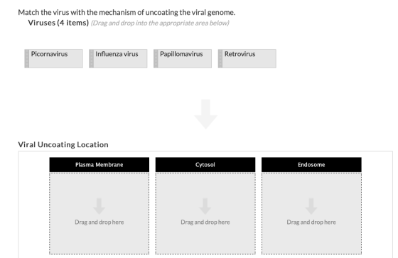 Match the virus with the mechanism of uncoating the viral genome. Viruses (4 items) (Drag and drop into the appropriate area