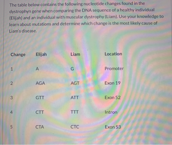 The table below contains the following nucleotide changes found in the dystrophyn gene when comparing the DNA sequence of a h
