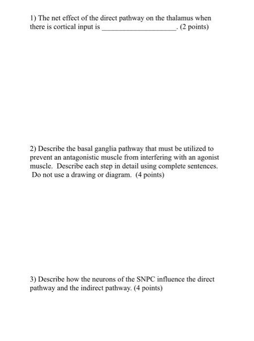1) The net effect of the direct pathway on the thalamus when there is cortical input is _. (2 points) 2) Describe the basal g