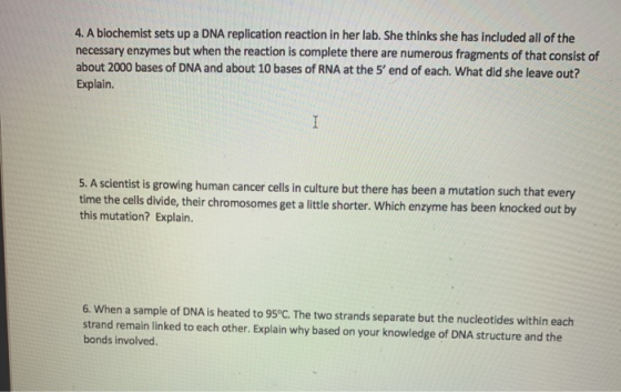 4. A biochemist sets up a DNA replication reaction in her lab. She thinks she has included all of the necessary enzymes but w